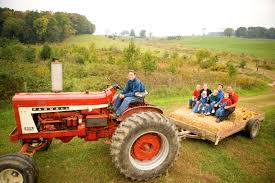 hayrides