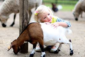 Children's Petting Day